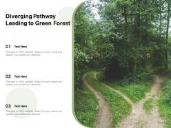 Diverging pathway leading to green forest