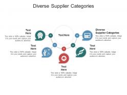 Diverse supplier categories ppt powerpoint presentation styles layouts cpb