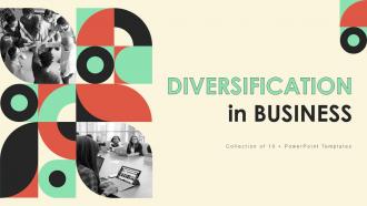 Diversification In Business Powerpoint Ppt Template Bundles