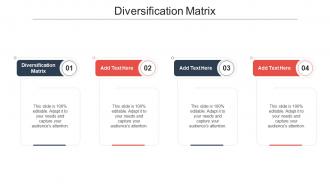 Diversification Matrix Ppt Powerpoint Presentation Icon Cpb