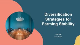 Diversification Strategies For Farming Stability PPT Example AT