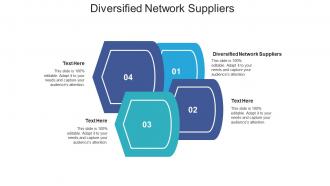 Diversified network suppliers ppt powerpoint presentation ideas slides cpb