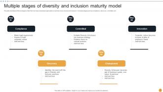 Diversity And Inclusion Maturity Model Powerpoint PPT Template Bundles Visual Interactive