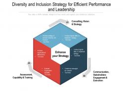 Diversity And Inclusion Strategy For Efficient Performance And Leadership