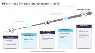 Diversity And Inclusion Strategy Maturity Model