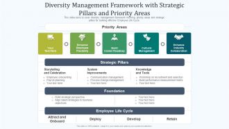 Diversity management framework with strategic pillars and priority areas