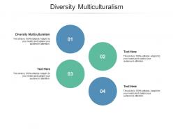 Diversity multiculturalism ppt powerpoint presentation ideas information cpb