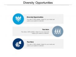 Diversity opportunities ppt powerpoint presentation icon graphic tips cpb