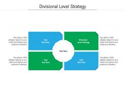 Divisional level strategy ppt powerpoint presentation file background image cpb