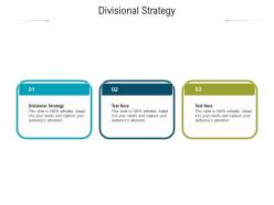 Divisional strategy ppt powerpoint presentation infographic template ideas cpb