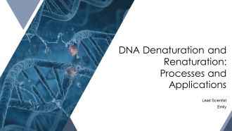 DNA Denaturation And Renaturation Processes And Applications PPT PowerPoint AT