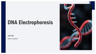 DNA Electrophoresis PPT Outline ACP