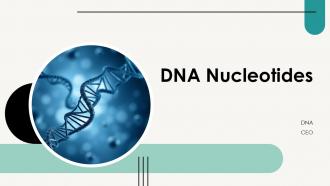DNA Nucleotides PPT Graphics ACP