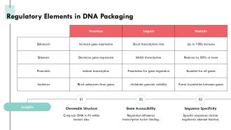 DNA Packaging Mechanisms In Eukaryotic Cells Explained PPT PowerPoint AT Captivating Impressive