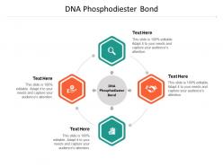 Dna phosphodiester bond ppt powerpoint presentation ideas icon cpb