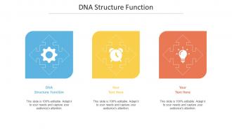 Dna Structure Function Ppt Powerpoint Presentation Ideas Slide Download Cpb