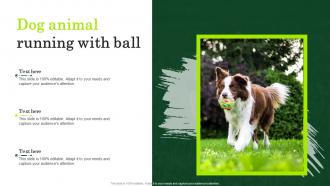Dog Animal Running With Ball