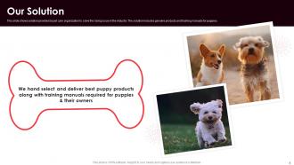 Dog Care Organization Investor Funding Elevator Pitch Deck Ppt Template Analytical Colorful