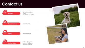 Dog Care Organization Investor Funding Elevator Pitch Deck Ppt Template Downloadable Impressive