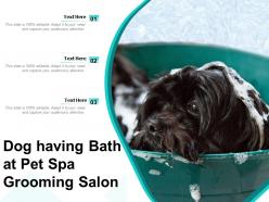 Dog having bath at pet spa grooming salon