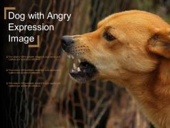 Dog with angry expression image