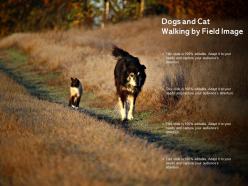 Dogs and cat walking by field image