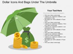 Dollar coins and bags under the umbrella flat powerpoint desgin