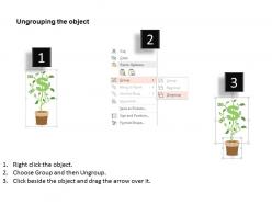 Dollar in plant pot financial growth indication flat powerpoint design