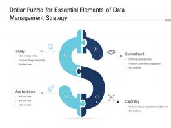 Dollar puzzle for essential elements of data management strategy