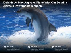 Dolphin at play approve plans with our dolphin animals powerpoint template