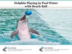Dolphin playing in pool water with beach ball