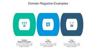 Domain registrar examples ppt powerpoint presentation summary example cpb
