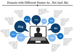 Domain with different names as net and biz