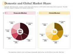 Domestic And Global Market Share Manufacturing Company Performance Analysis Ppt Professional