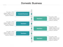 Domestic business ppt powerpoint presentation portfolio elements cpb
