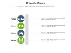 Domestic claims ppt powerpoint presentation show clipart images cpb