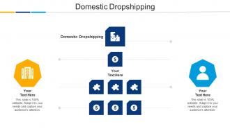 Domestic Dropshipping Ppt Powerpoint Presentation Infographics Structure Cpb