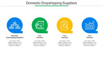 Domestic Dropshipping Suppliers Ppt Powerpoint Presentation Professional Backgrounds Cpb