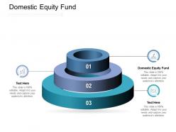 Domestic equity fund ppt powerpoint presentation gallery template cpb