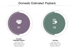 Domestic estimated payback ppt powerpoint presentation portfolio introduction cpb