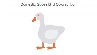 Domestic Goose Bird Colored Icon In Powerpoint Pptx Png And Editable Eps Format