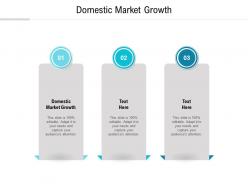 Domestic market growth ppt powerpoint presentation model professional cpb