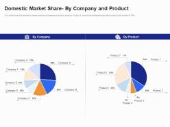 Domestic Market Share By Company And Product B2B Customer Segmentation Approaches Ppt Topics