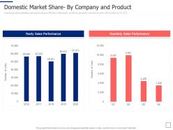Domestic market share by company and product sales segmentation approaches ppt brochure