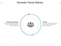 Domestic parcel delivery ppt powerpoint presentation slides format cpb