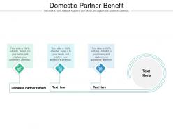 Domestic partner benefit ppt powerpoint presentation slides inspiration cpb