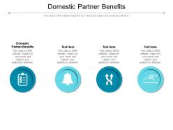 Domestic partner benefits ppt powerpoint presentation slides portfolio cpb