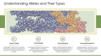 Dominant Vs Recessive Alleles Basics PPT Template AT Analytical Appealing