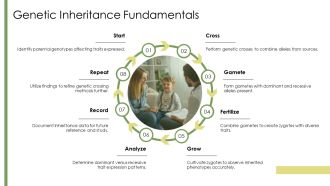 Dominant Vs Recessive Alleles Basics PPT Template AT Multipurpose Appealing