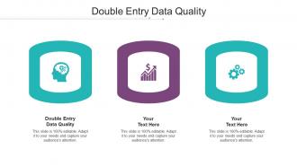 Double Entry Data Quality Ppt Powerpoint Presentation Infographic Template Cpb